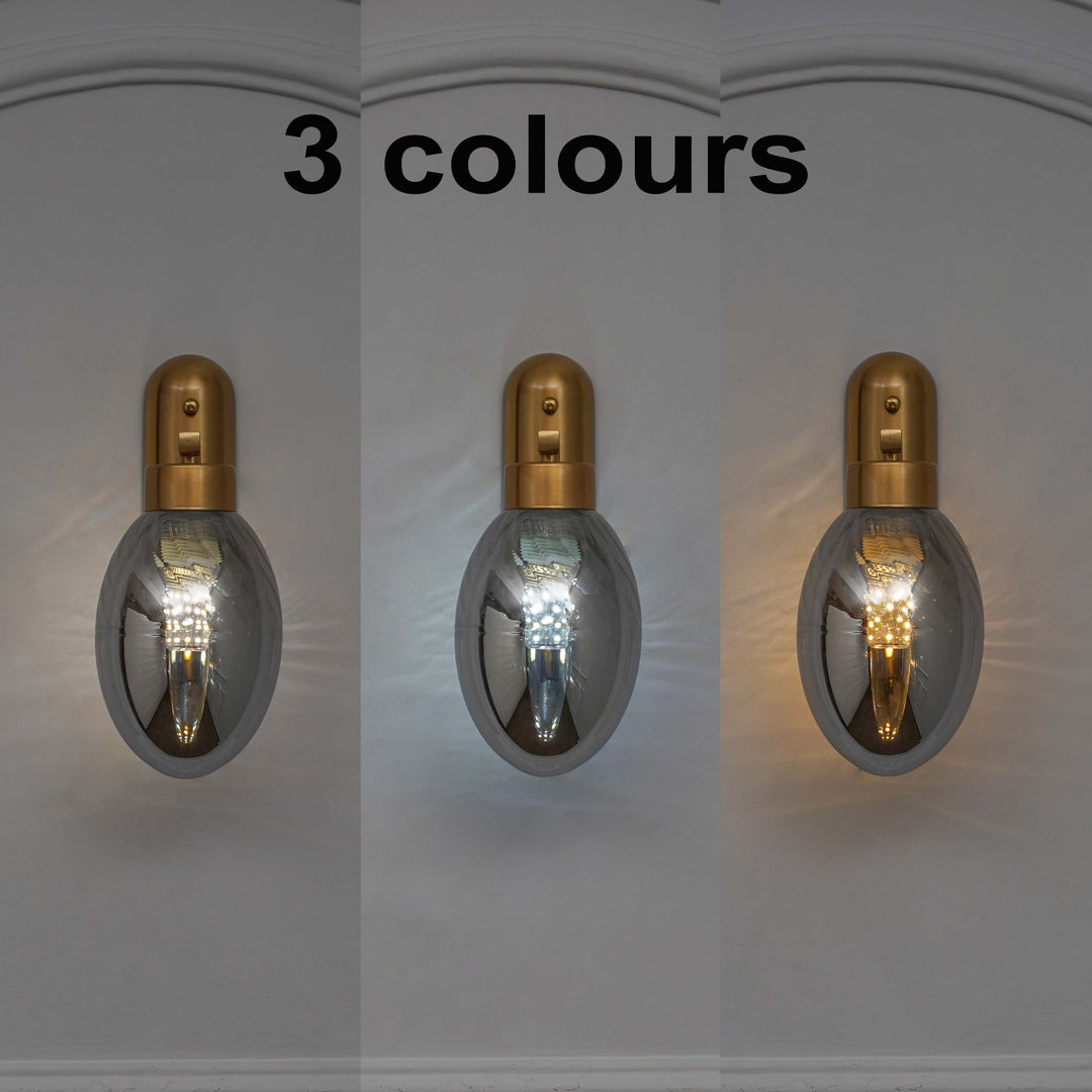 ZEN Single Light Wall Fitting In Brass Finish Metal With Gray Glass