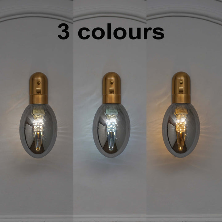 ZEN Single Light Wall Fitting In Brass Finish Metal With Gray Glass