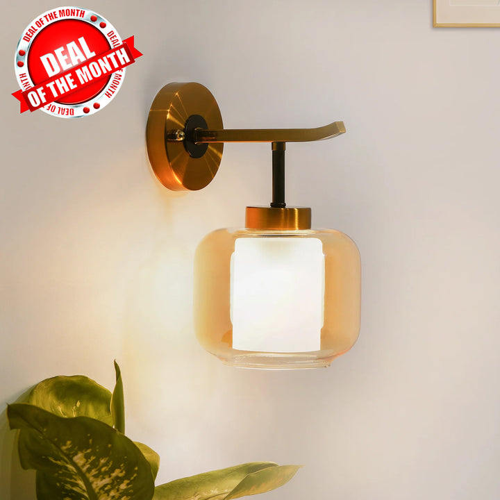 Braelyn Single Arm Glass and Metal wall light